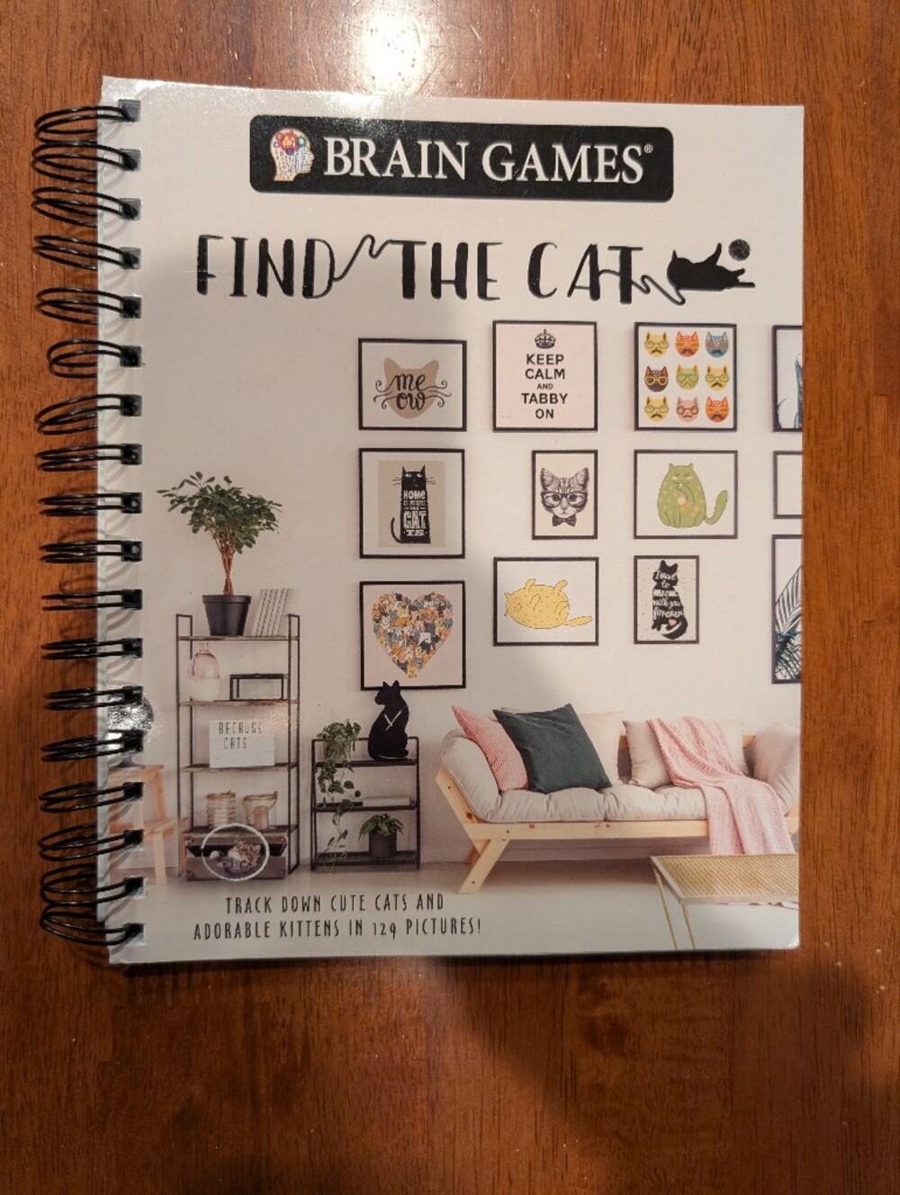 Brain Games Find the Cat Spiral-Bound Illustrated Picture Puzzle Book